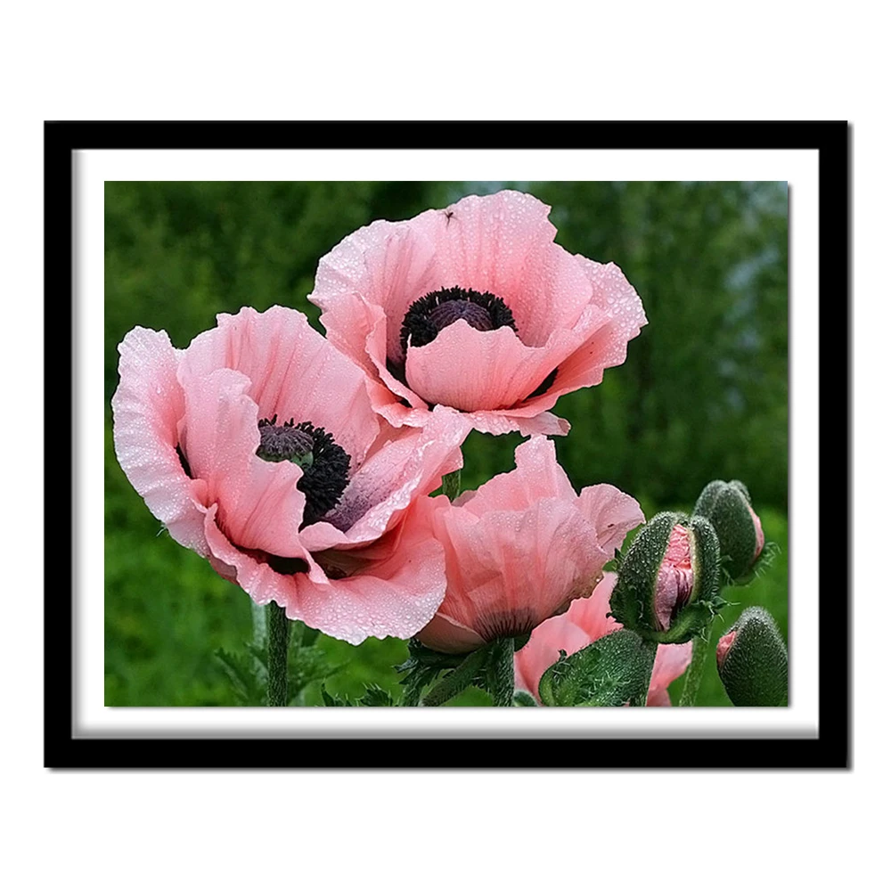 Новинка, 3D Алмазная живопись, вышивка крестиком, розовый цветочный кристалл, рукоделие, алмазная вышивка, цветочное оформление, BJ510