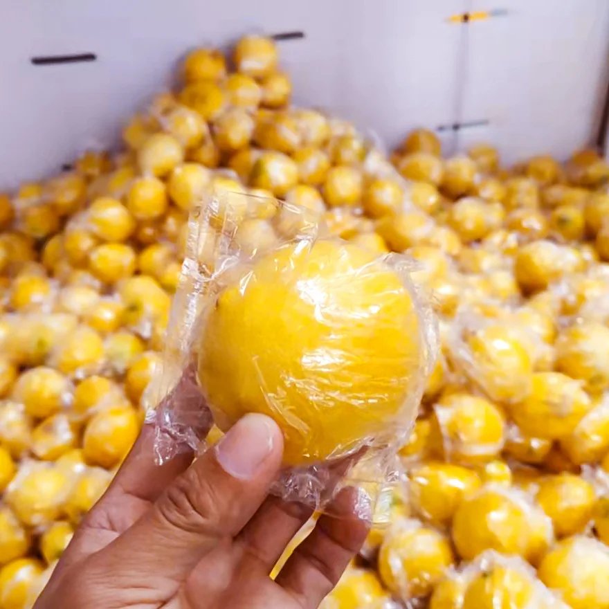 Industrial Citrus Fruit Packing Machine Fruit  Packing Machine Single Lemon Orange Wrap Packaging Machine