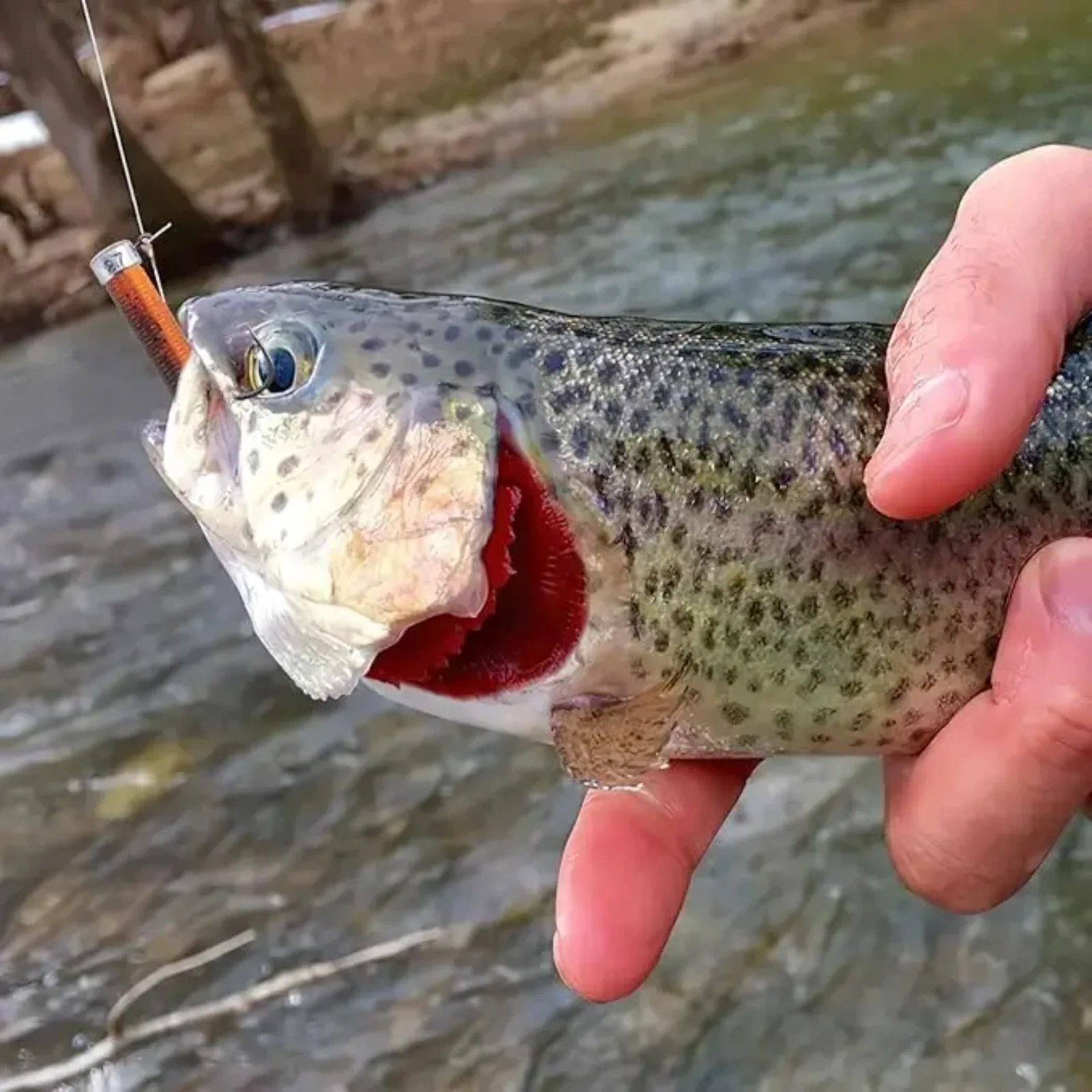 

Goture, 44 шт., комплект мягких рыболовных приманок, набор силиконовых приманок, искусственная приманка, червь с кривошипом, джиг-головкой, аксессуары для рыболовных снастей