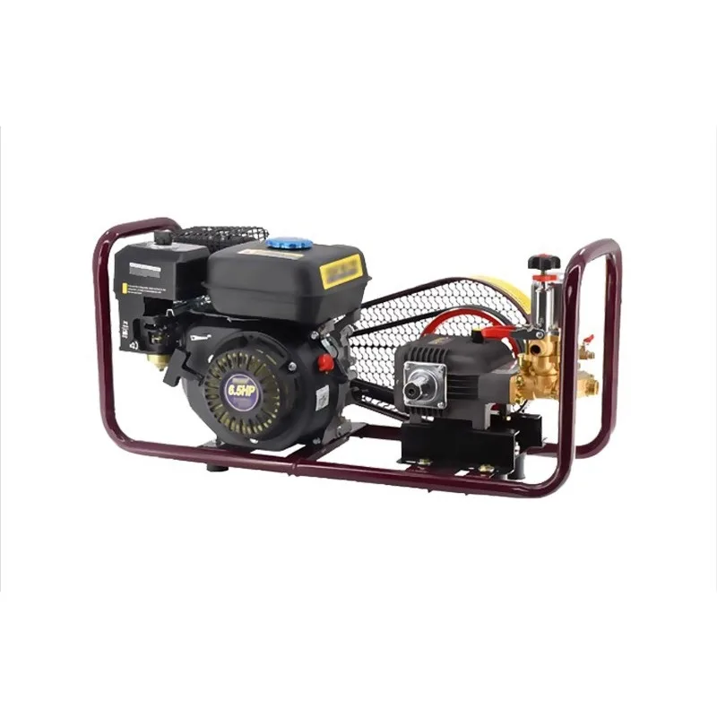 Commercial household 220v plug-in pump cleaning high pressure pump water pipe package