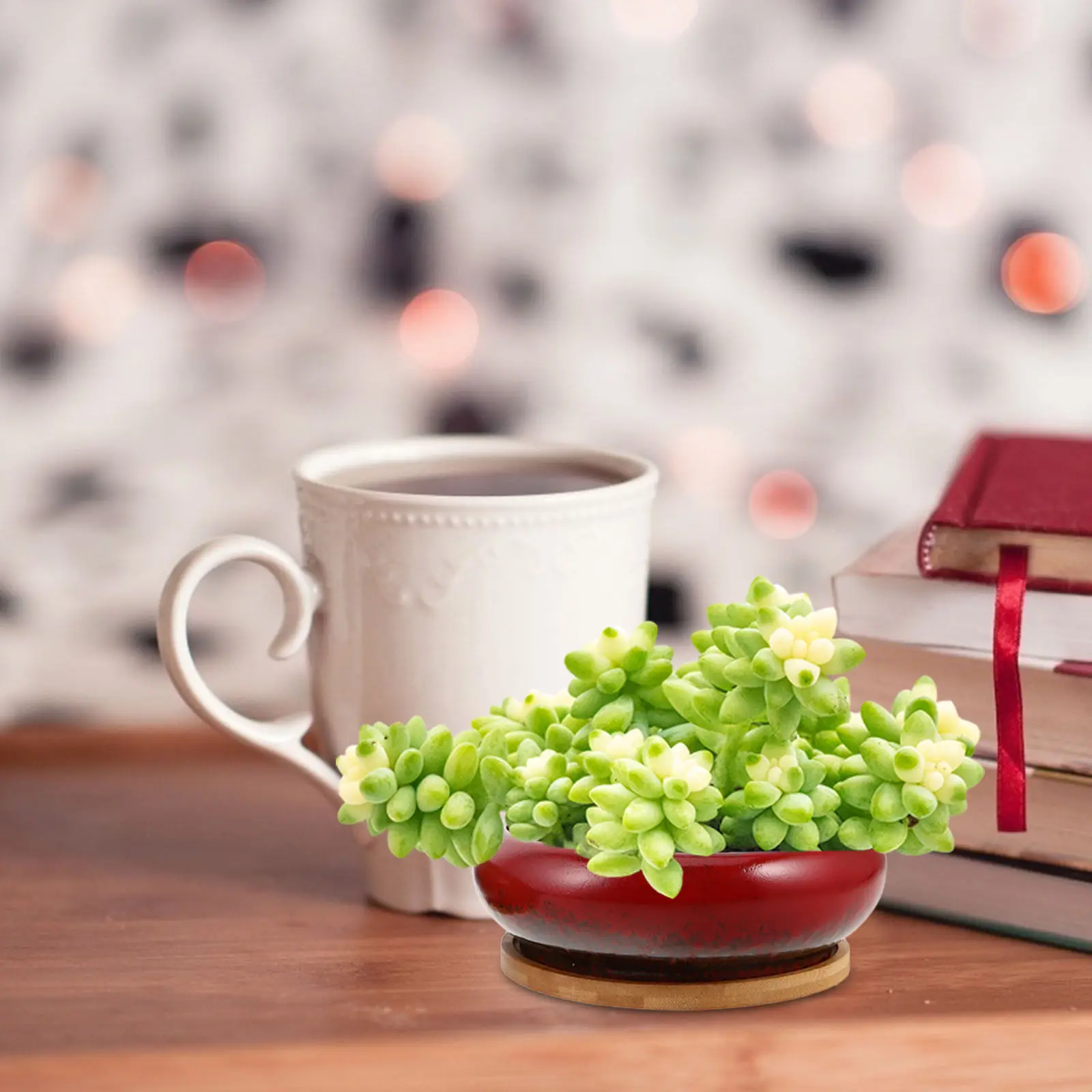 2Pcs Shallow Ceramic Planter Pots Vintage Style Glazed Bonsai Succulent Plant Containers Tray Included Indoor Outdoor