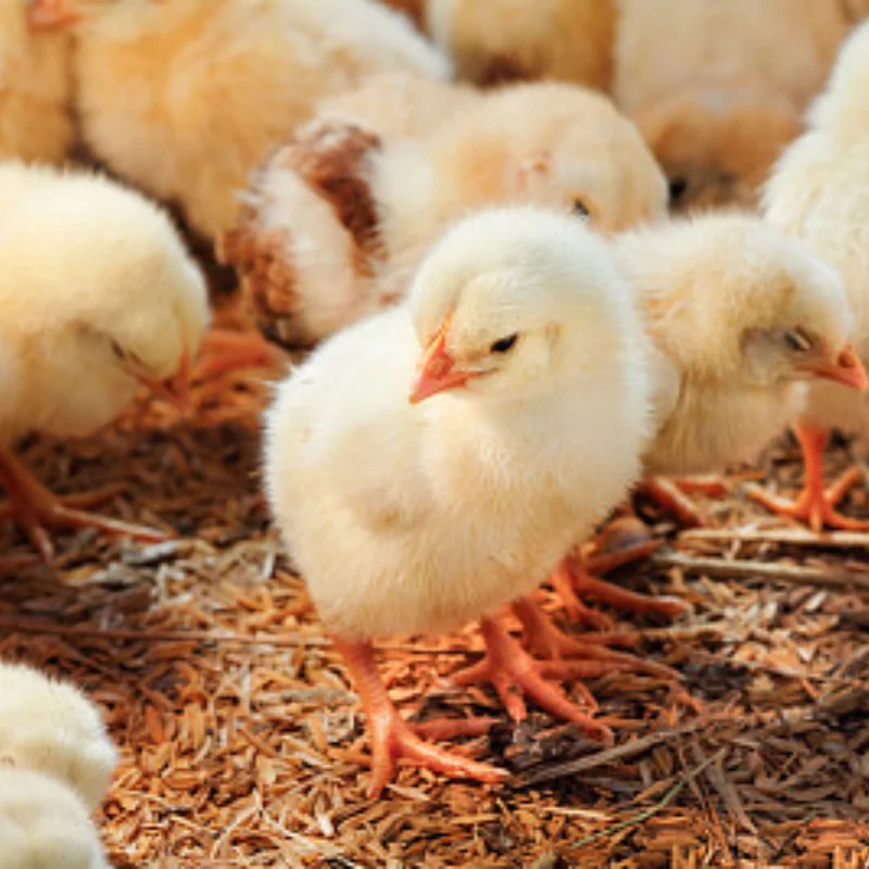 

RC Car Upgrades Aluminum Heat Sink Motor Mount Seat for TT01/DF02 RC Car Upgrade Parts