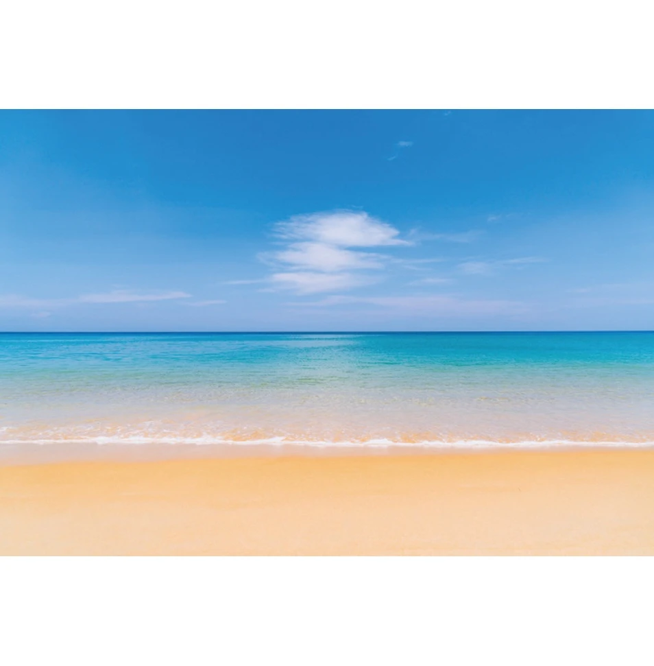 Sea Backdrop Seaside Beach Ocean Blue Sky White Clouds Coconut Tree Birthday Party Wedding Photography Background Photozone Prop