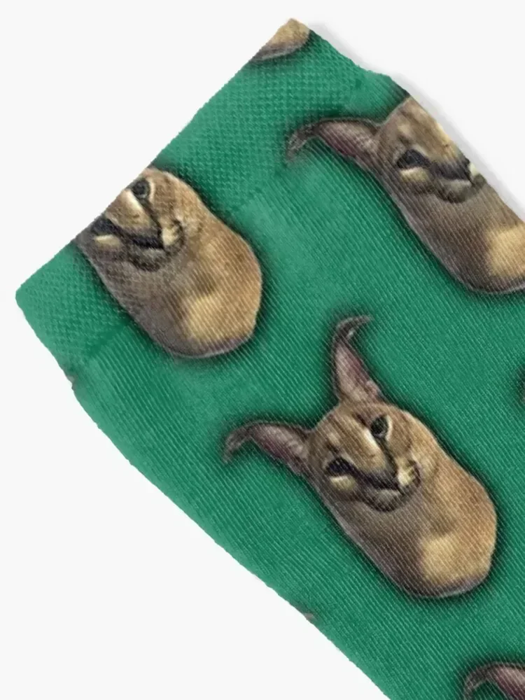 Big Floppa AKA Gregory Socks Crossfit new in's cool floral Socks Male Women's