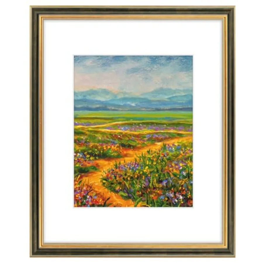 

Декоративная рамка для фотографий с белым матовым покрытием для фото 11x14 или для демонстрации принтов 16x20 без матового покрытия, с цветной передней панелью из плексигласа.