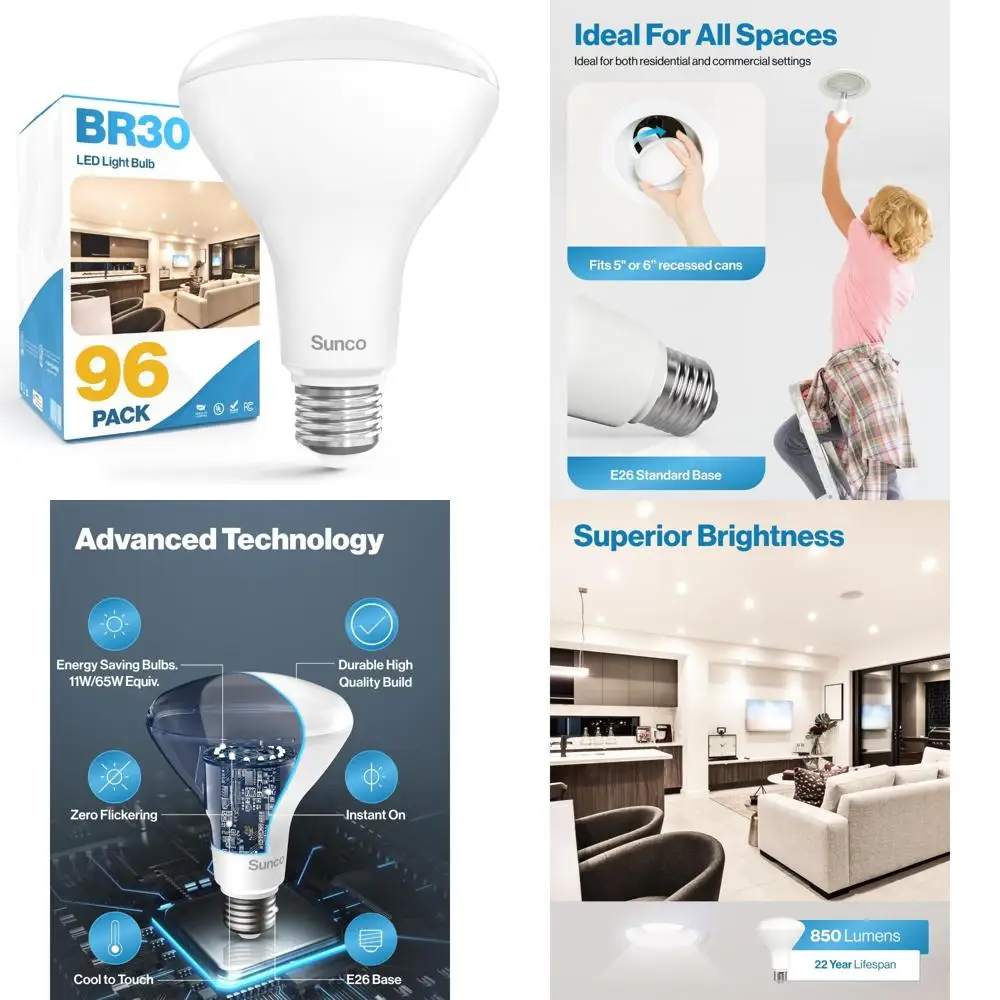 Led BR30 Recessed C…