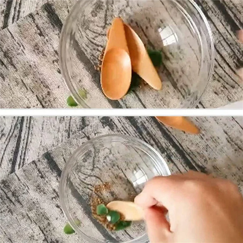 Coffee Tea Etc - ABVT-20 Pieces Mini Wooden Spoon Condiments