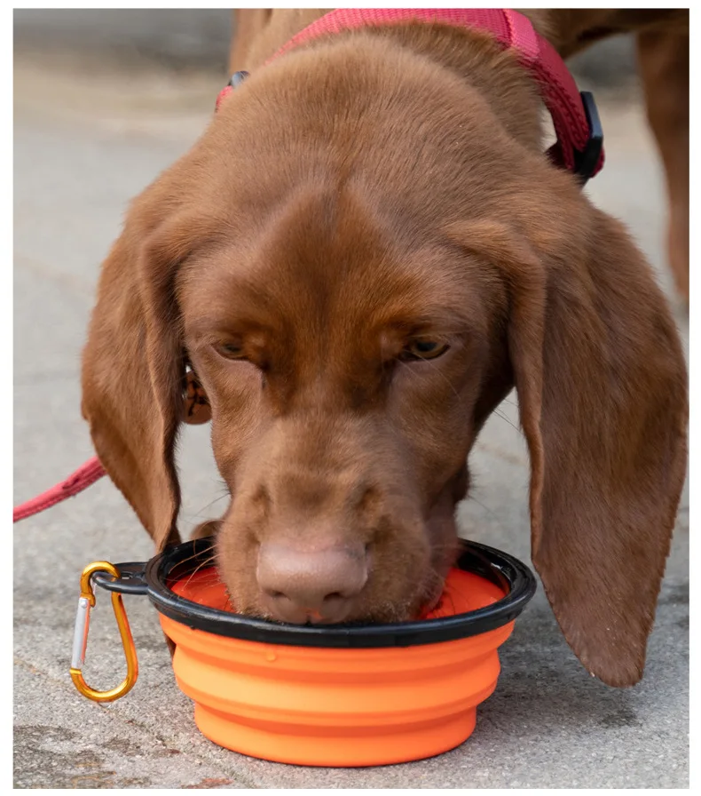 OUZY Outdoor Portable Folding Pet Dog Bowl With keychain Dog Dishes Multifunctional Pet Drinker Large Capacity Cats Water Bowl