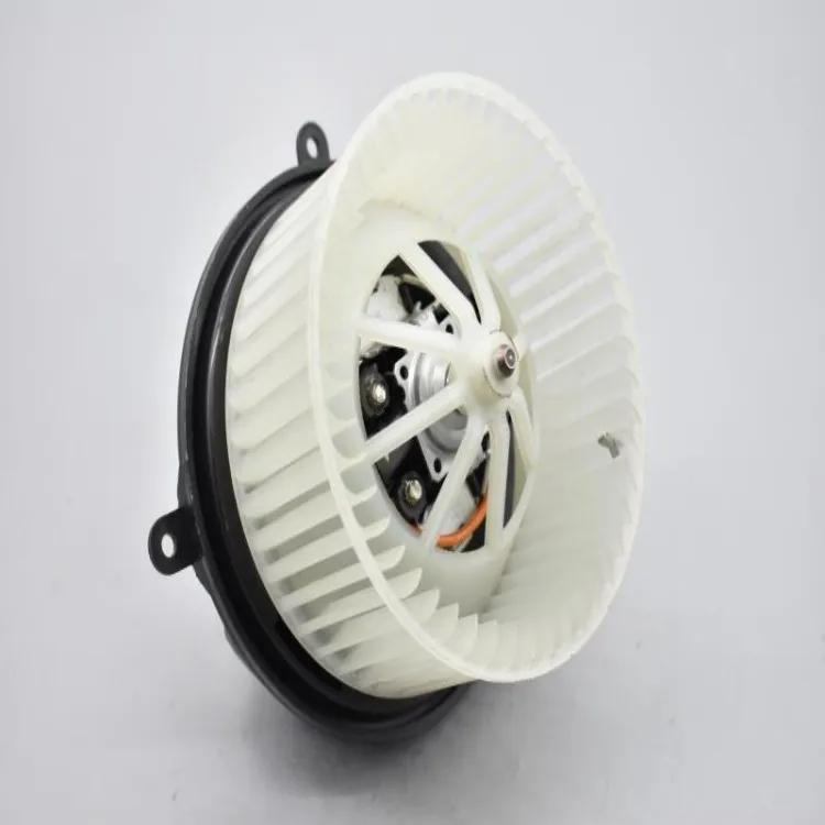 Custom Voltage AC Blowers (12V/24V Send Your Requirements Warm Air Motor 25189003 BL001R