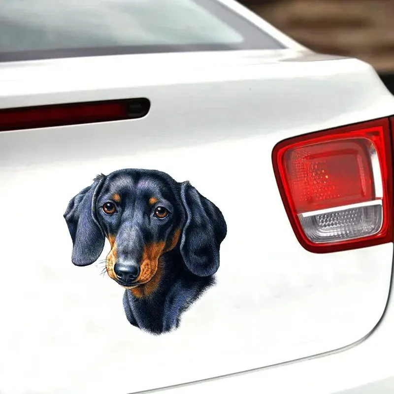 Various Sizes Self-adhesive Decal Dachshund Dog Car Sticker Waterproof Auto Decors on Bumper Rear Window 10/13/17/20CM PVC