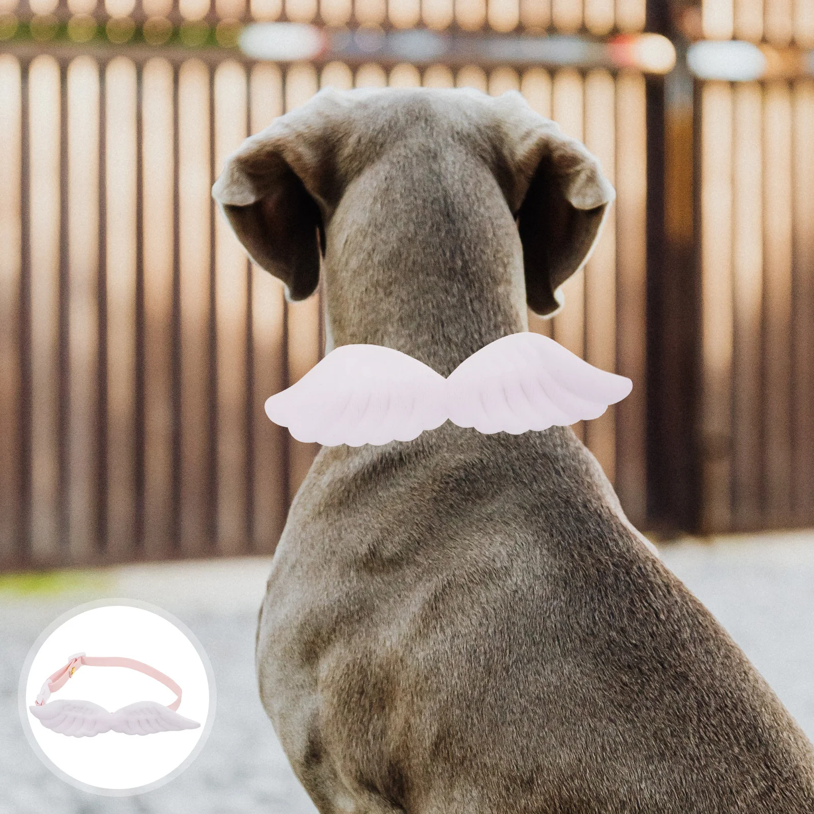 

Adjustable Pet Collar Puppy Cat Collar Wing Buckle Decorative Small Dog Neck Band for Parties Puppy Collars Cat Neck Decor