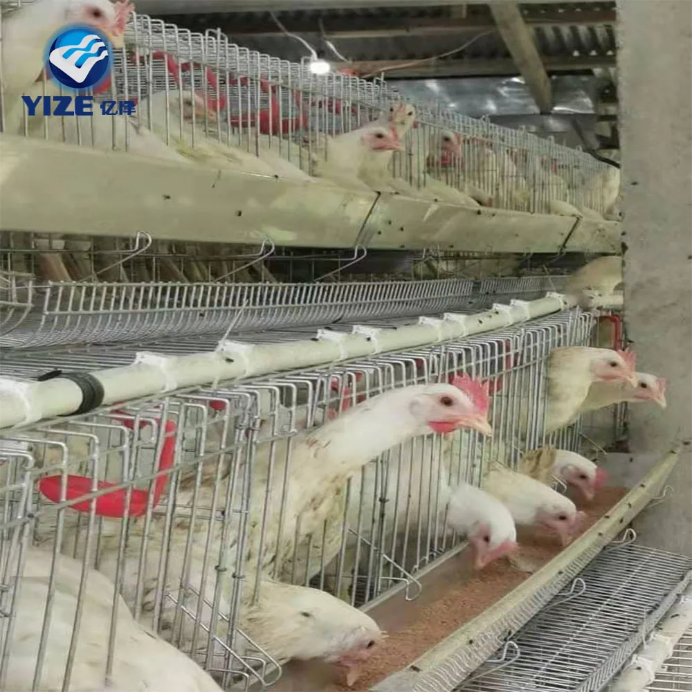 Cheap Price Chicken Cage in Pakistan Building a Type Chicken Coop Hen Cage Design Layer Poultry House Farm