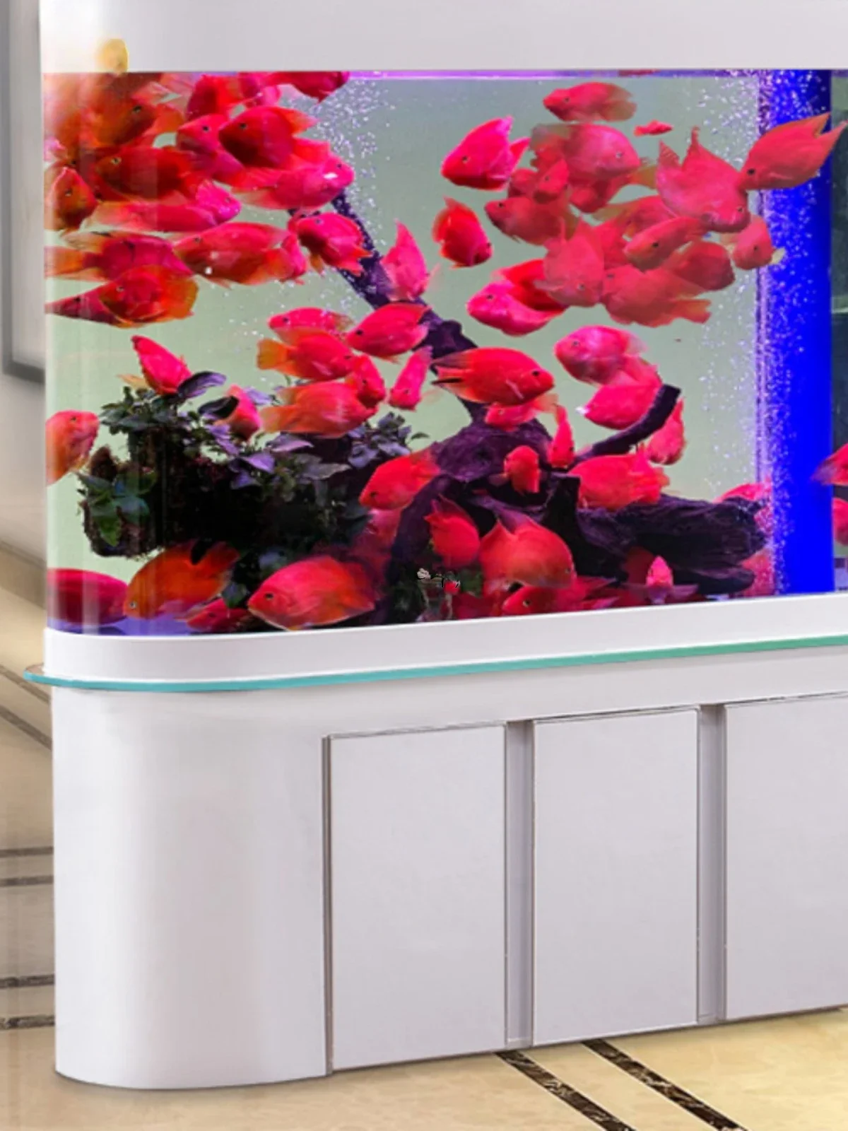 Aquarium Change Water Ecological Glass Fish Tank Living Room Home Landing Large Fish Globe