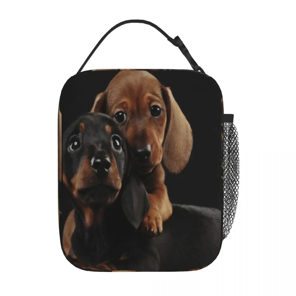 Bestselling Dachshund Dog Portrait Photo Pupies Polka Dot School Lunch Bag Daycare Meal Meal Prep Bag