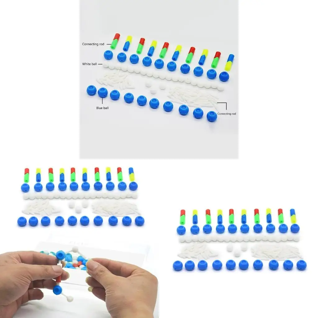 Teaching Assembling Model DNA Double Model DNA Components Kits Biological Science Educational Teaching Aids
