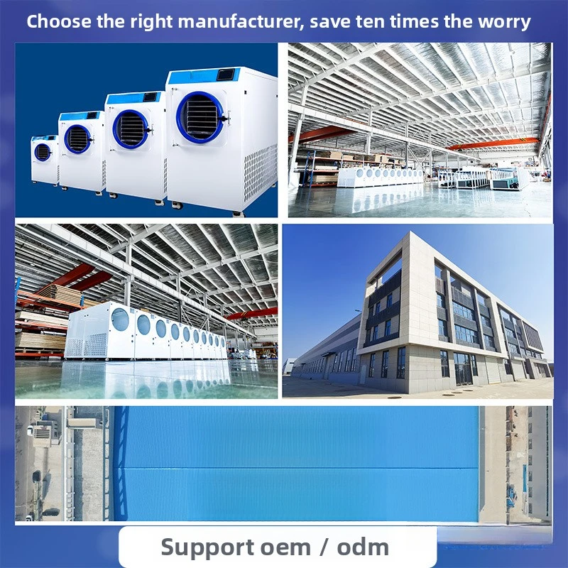 Dryer For Home Use, Small Food, Fruis, Vegeables, Herbal Medicine, Snacks, Vacuum Freeze Drying Machine, Commercial