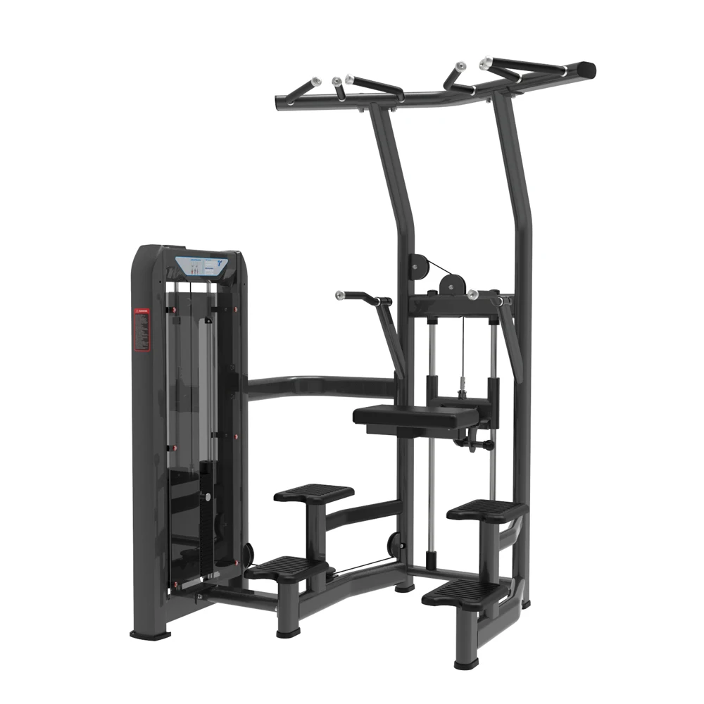 

2025 New Lines TZ-N8019 Commercial Gym Fitness Equipment Pin Loaded Gym Machine Assisted Chin up Dip Training