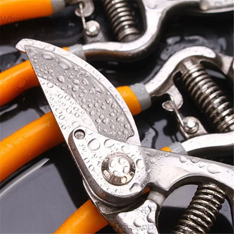 Gardening scissors, fruit tree pruning, branch scissors
