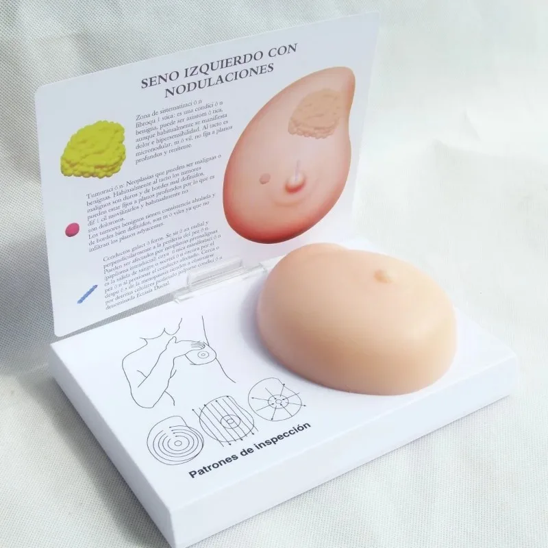 HUMAN PATHOLOGICAL ANATOMY BREAST SELF EXAM MODEL WITH IRREGULAR MASSES FOR MEDICAL PATHOLOGICAL EXAMINATION TEACHING