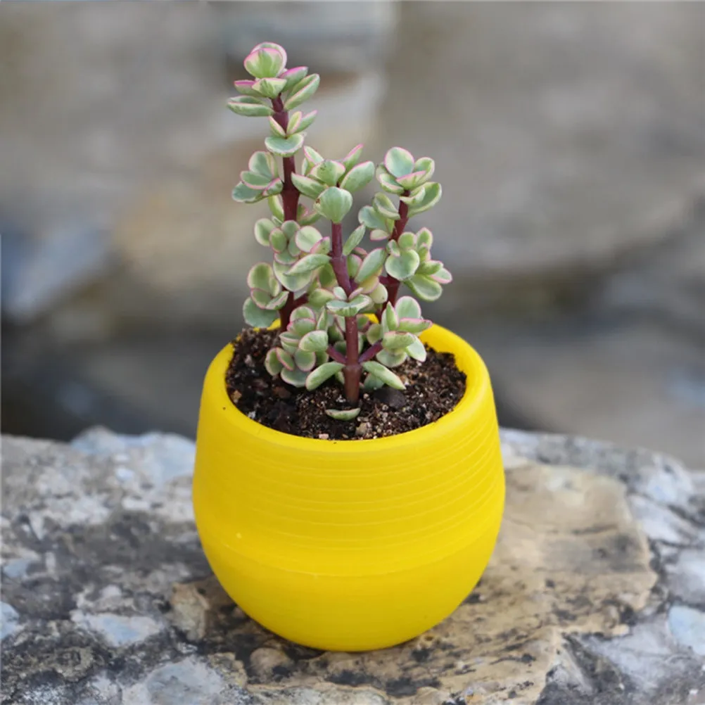 Yellow Round Mini Resin Pot for Succulents Cactus Plants Home Office Decoration Bookshelf Dining Table Balcony Garden Gift Idea