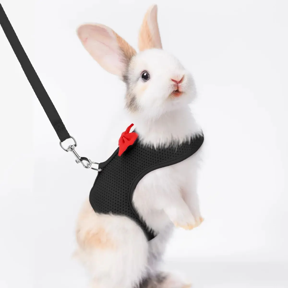 Rabbit Chest Harness and Leash Set Guinea Pig Rabbit Sable Kitten Leash Small Pet Traction Leash Rabbit Vest Harness Set