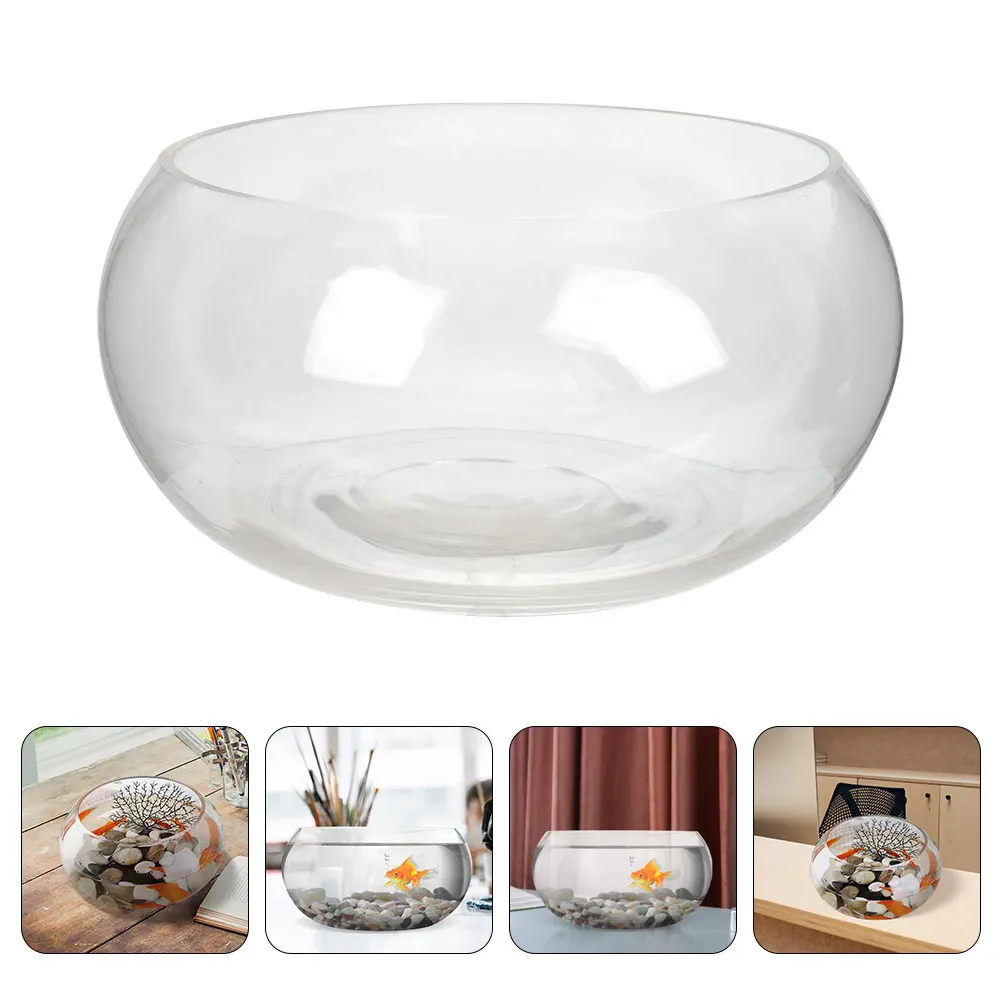 

Fish Tank Mini Aquarium Aquariums Tanks Clear Desktop Bowl Planter Bowls The Circle Office
