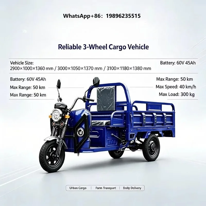 Economic Electric Cargo Trike 1.5m Box 3 Wheel Motorcycle Manufacturer Price