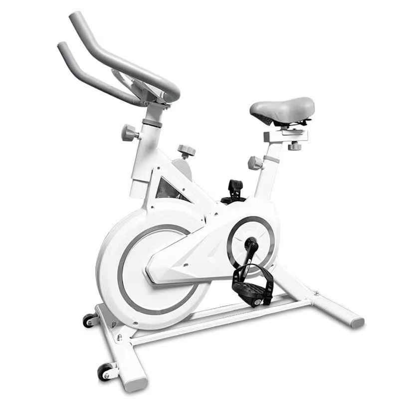 Stationary Sport Static Bicycle Silent Ergonomic Exercise 100kg Spinning Bike For Indoor Gym