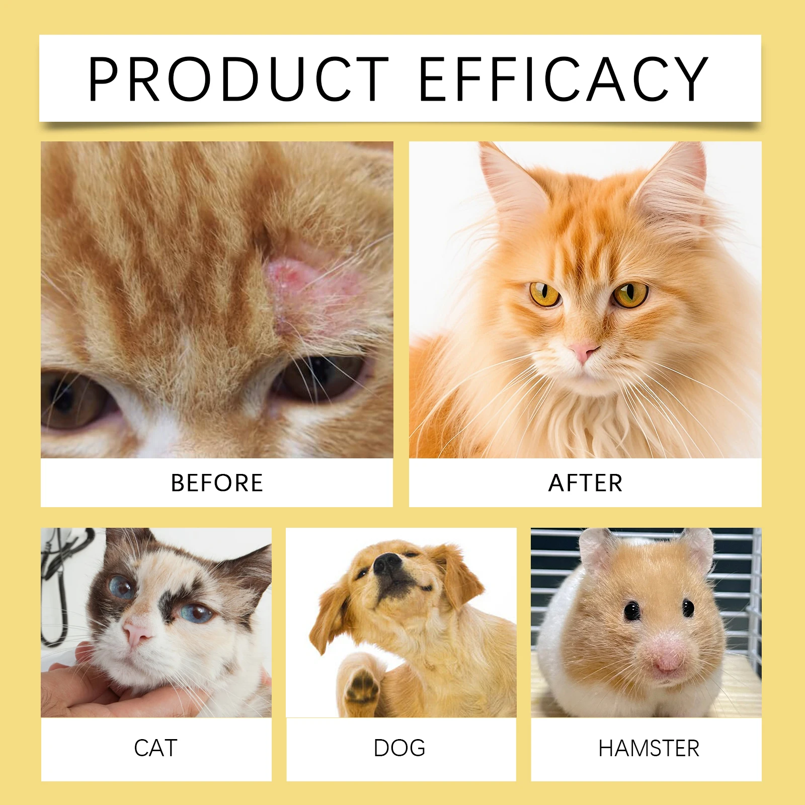 Pet Skin Care Soothing Spray 4