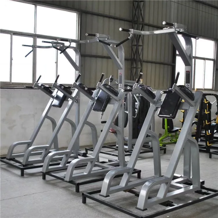 OEM Service Commercial Gym Use Fitness Equipment Knee Up/Chin Pull Up For Training