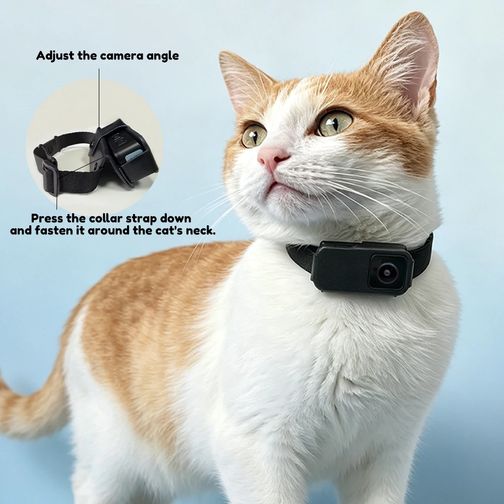 1080P HD Pet Collar Camera Dog Cat Pet Camera Wireless Collar Action Cam No WiFi Needed Video Record for Cats Dogs Birthday Gift