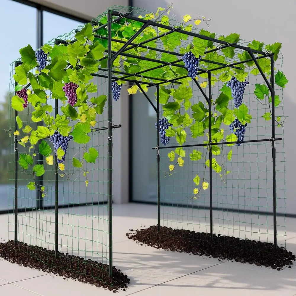 

Large Garden Arch Trellis for Climbing Plants, 79''H x 79''L x 79''W Outdoor Grape Vine Trellises Arch Arbor Gazebo, Grape Trell