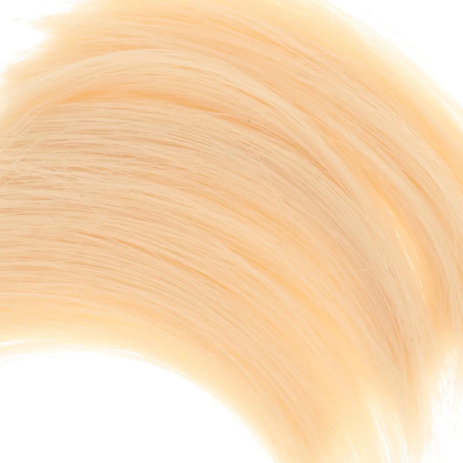 Kit de construction de maquettes de plantes en résine d'herbe longue, matériel d'aménagement paysager de scène statique pour Diorama de Table de sable