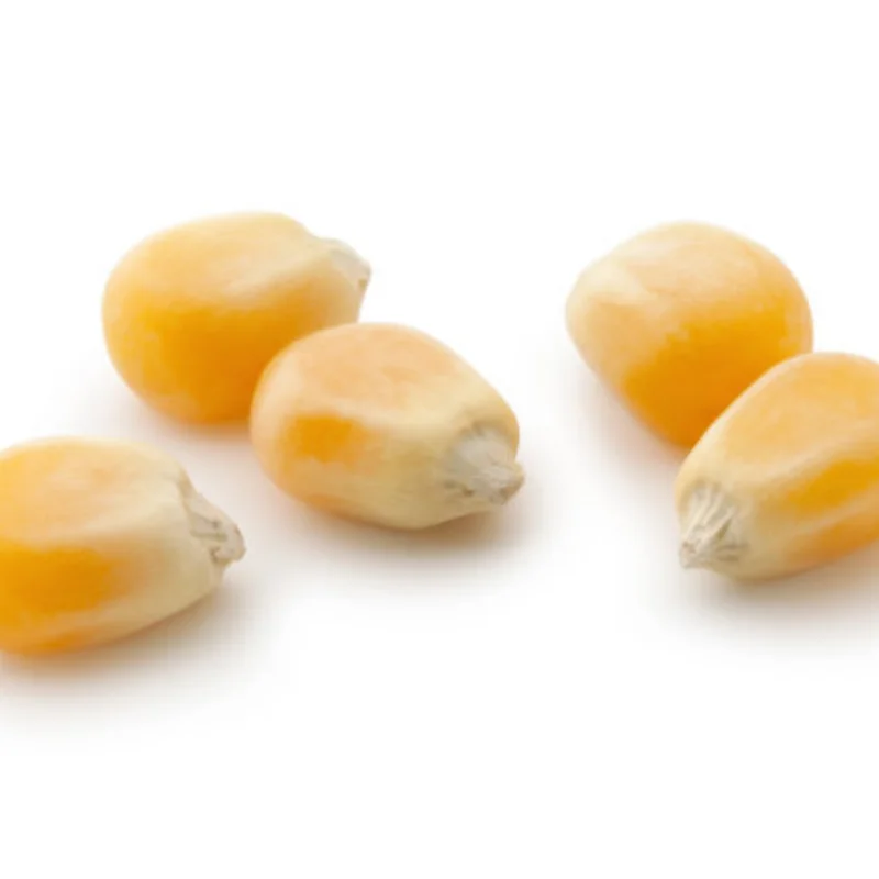 

Новый MN99S металлический шасси, тяга, крепление для масляного амортизатора, комплект крепления двигателя коробки передач 1/12, детали для обновления радиоуправляемого автомобиля