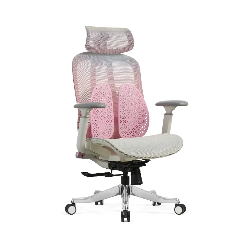 

ZC01 New Modern Heavy Duty Commercial-Grade Ergonomic Chair with 4D Headrest & Adjustable Lumbar Support for 8+ Hours Sitting