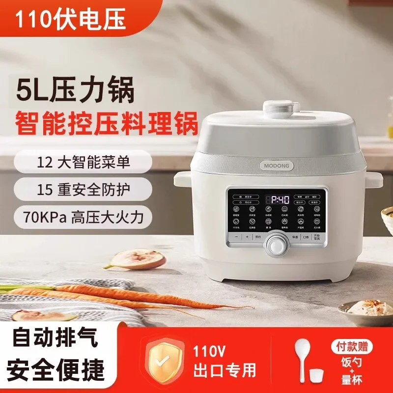 110V/220V Electric … - image