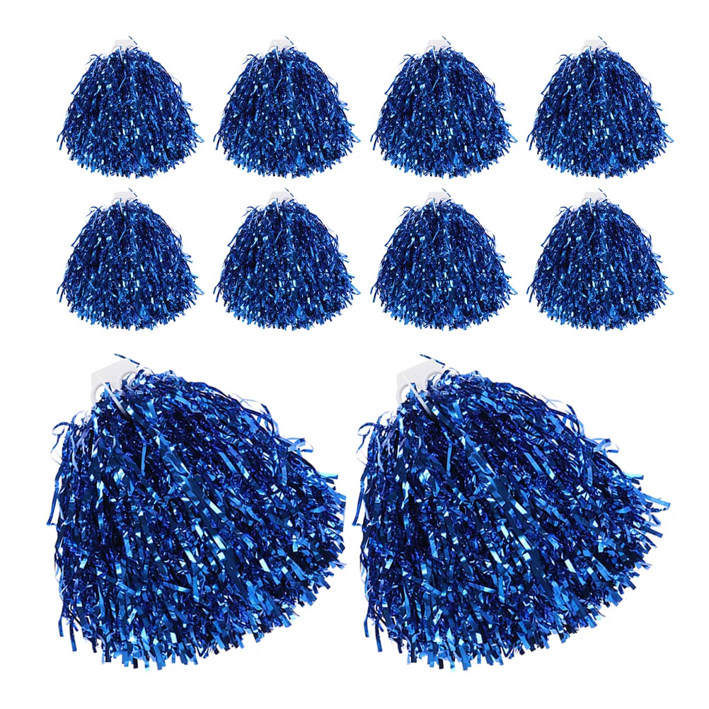 

10Pcs Cheerleading Hand Held Flower Durable Portable Easy to Hold Cheerleading Props for Sports Dance Performances Girls Adults