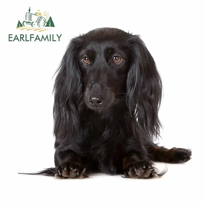 

EARLFAMILY 13cm x 11.4cm for Black Dachshund Dog Camper Car Stickers DIY Occlusion Scratch Waterproof 3D Custom Printing Decal