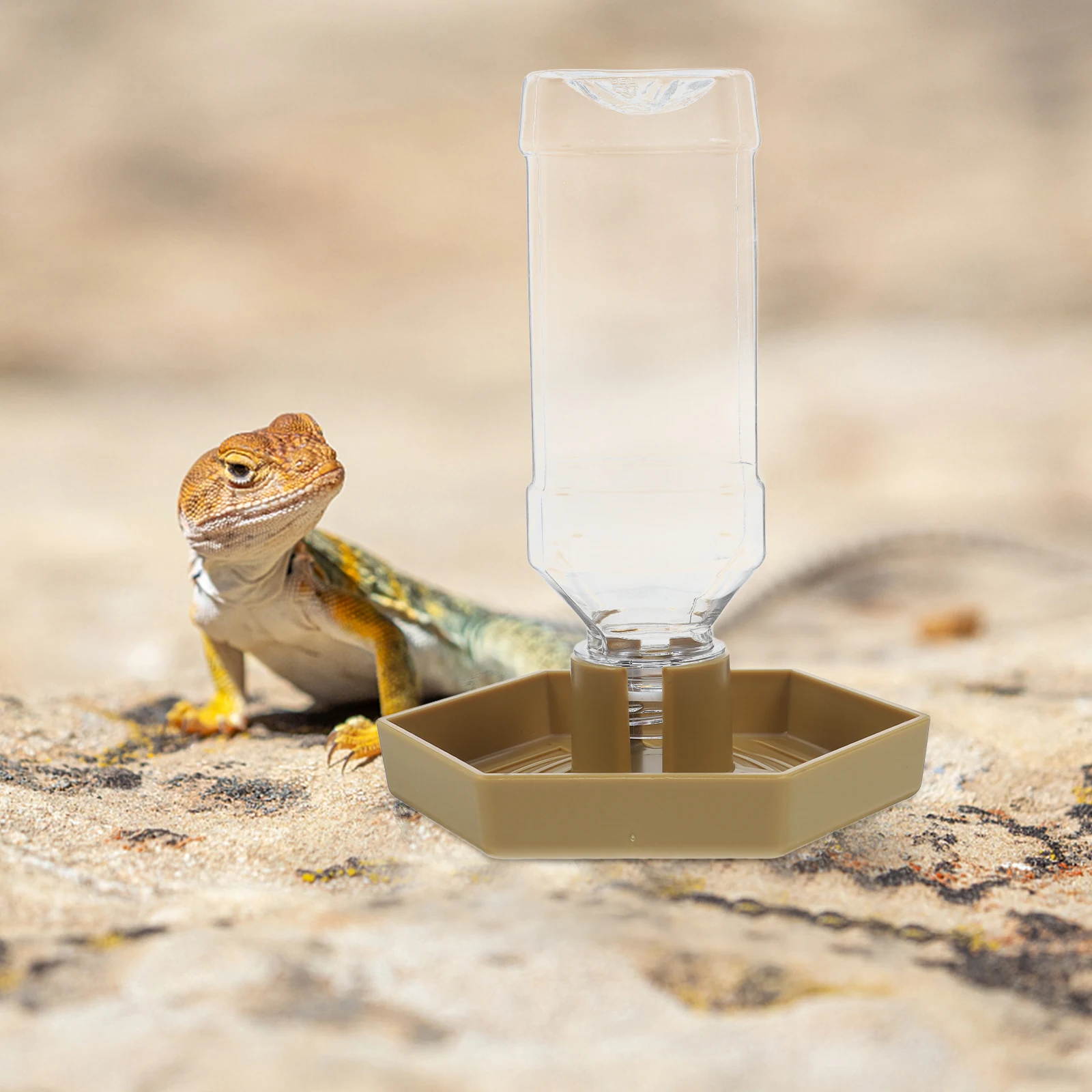 

Автоматическая поилка для рептилий: компактная миска для черепах и ящериц, кормушка для террариума, пищевой класс