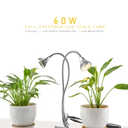 60W Dual Heads Clip-On Led Grow Light Full Warm Gooseneck Flexible Desk Lamp