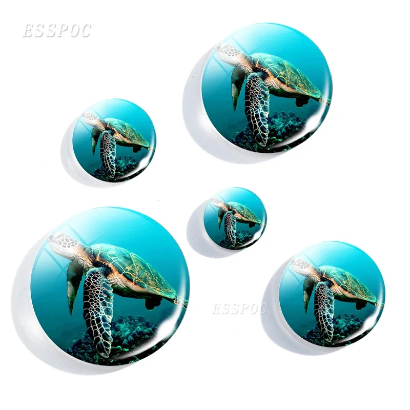 5PCS/SET Sea Turtle Dolphin Seashells Photo 12/16/20/25/30mm Glass Cabochon Jewelry DIY Pendant Jewelry Findings Accessories