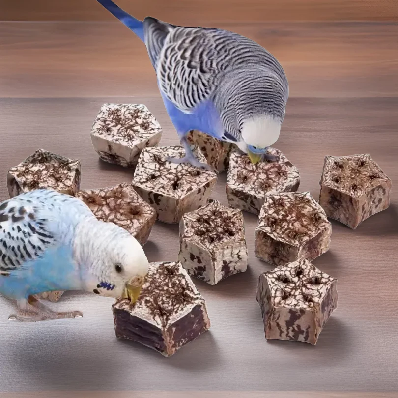 Natural Fruit Bird Chew Toy for Beak Decorative Bird Chew Toy Home Decoration for Conure Cockatiel Budgies