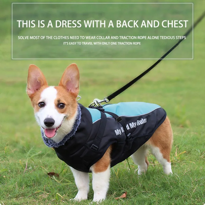 Ropa impermeable para mascotas, abrigo para perros grandes, chaquetas cálidas de terciopelo para exteriores, arnés para caminar para perros medianos