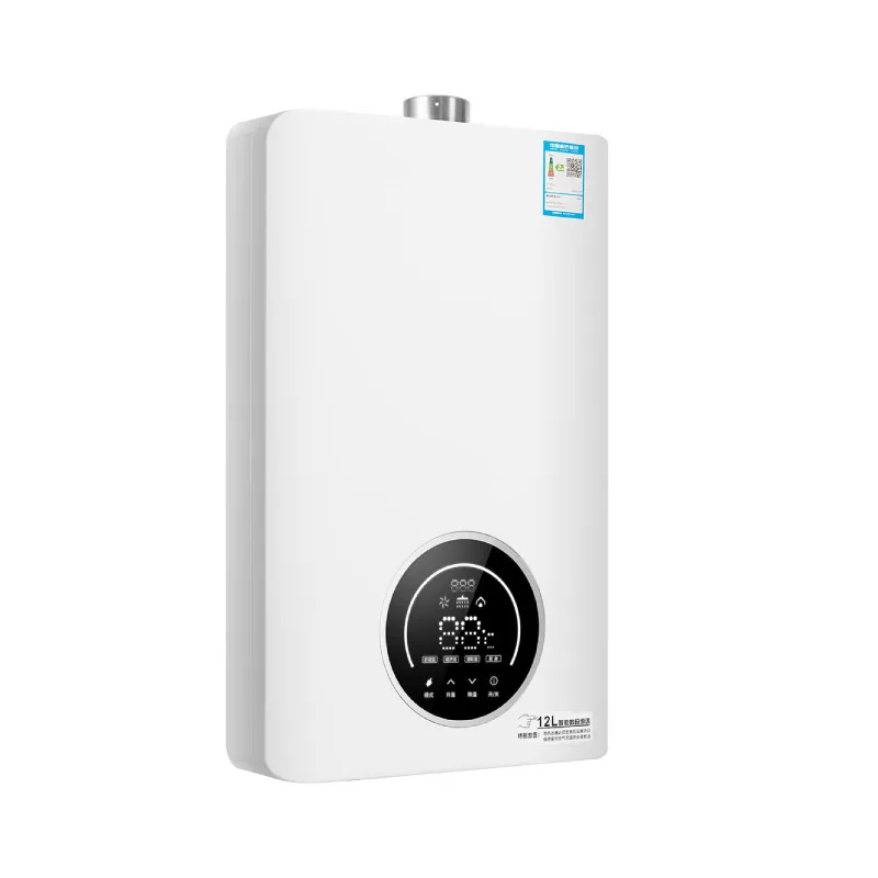 Gas Water Heaters