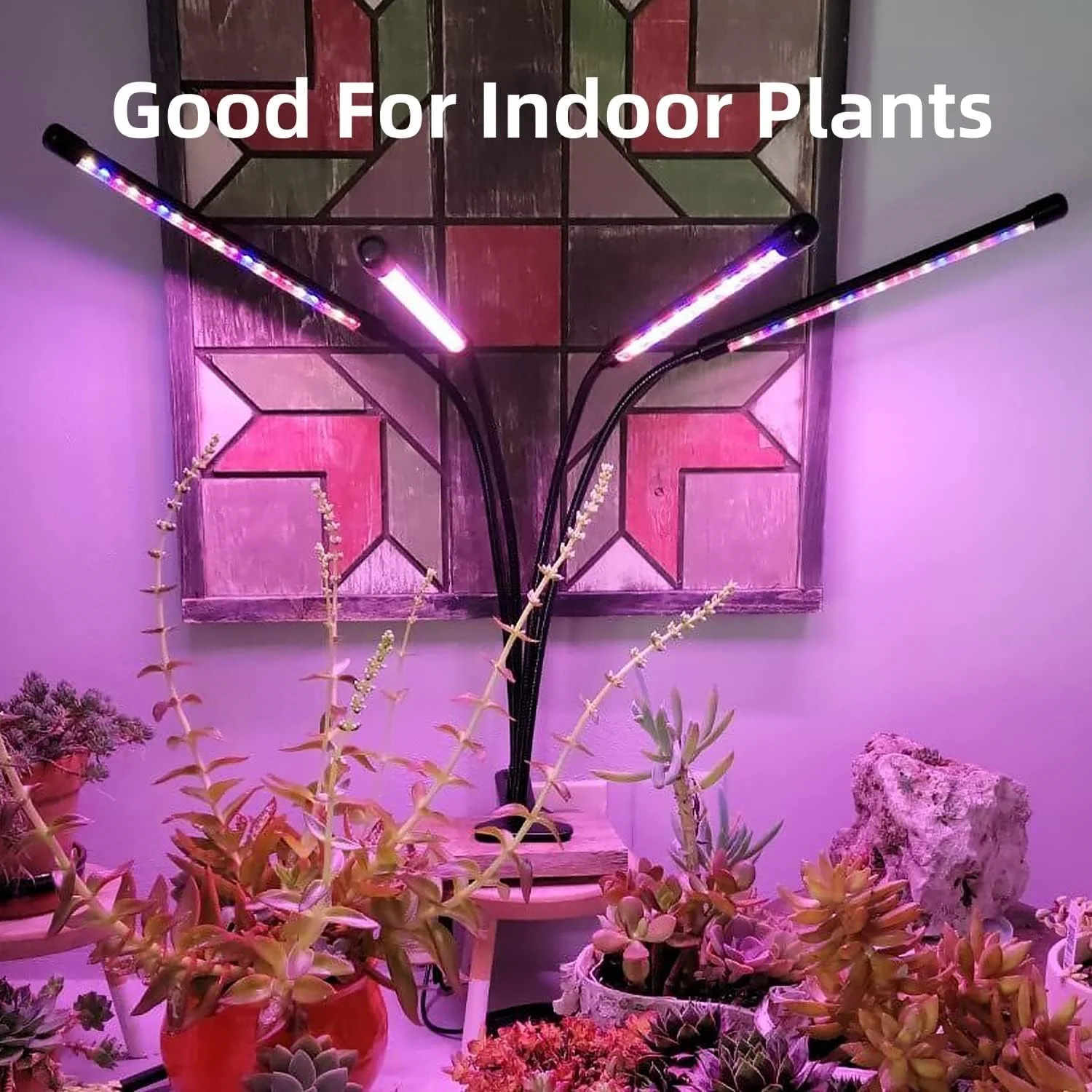 Phytolamp de luz LED USB de 3 colores para plantas con Control, luces Fitolamp de espectro completo, lámpara Phyto con Clip para plántulas de flores para el hogar