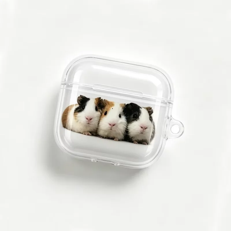 Kawaii guinea Pig Clear Soft TPU Earphone Case For Airpods 1 2 3 4 Pro Pro2 Pro3 Shockproof with Hook Accessories Airpods Cover - view 2