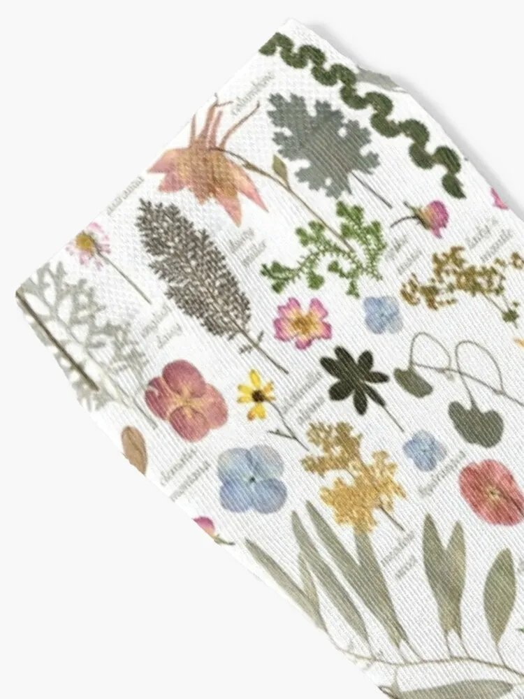 Botanical Sketchbook Pressed Flower Garden Socks