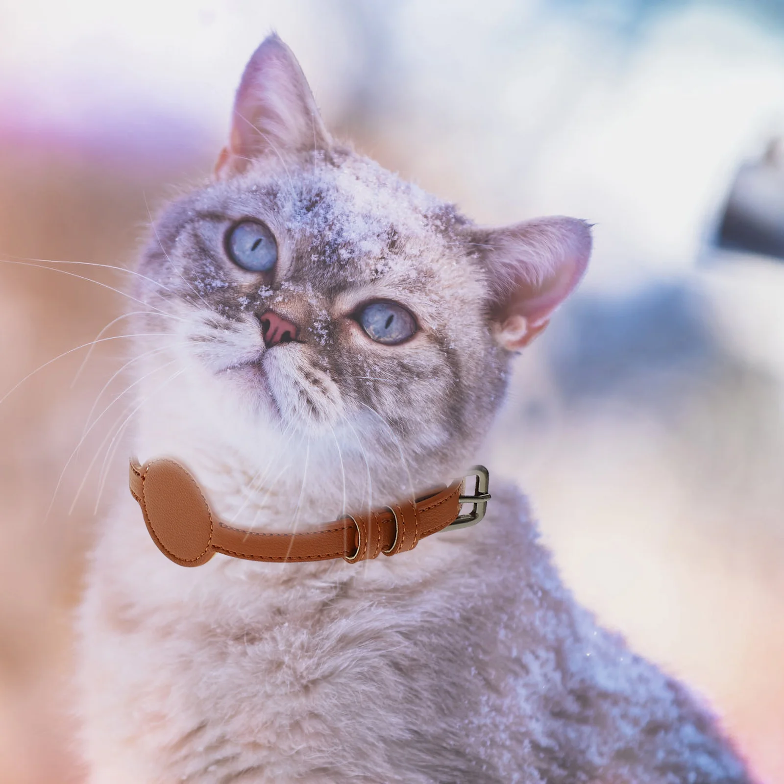 

Adjustable PU Pet Collar Tracer Case Lightweight Breathable Cat Dog Collar Anti lost Outdoor Safety nament Decor Bright Color