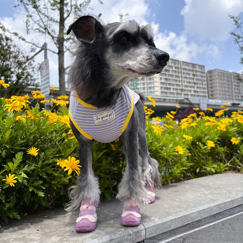 Anti-scald Feet Summer Dog Shoes Schnauzer Poodle Yorkshire Terrier Puppy Shoes  Zapatos Para Perro  Dogs Acessorios