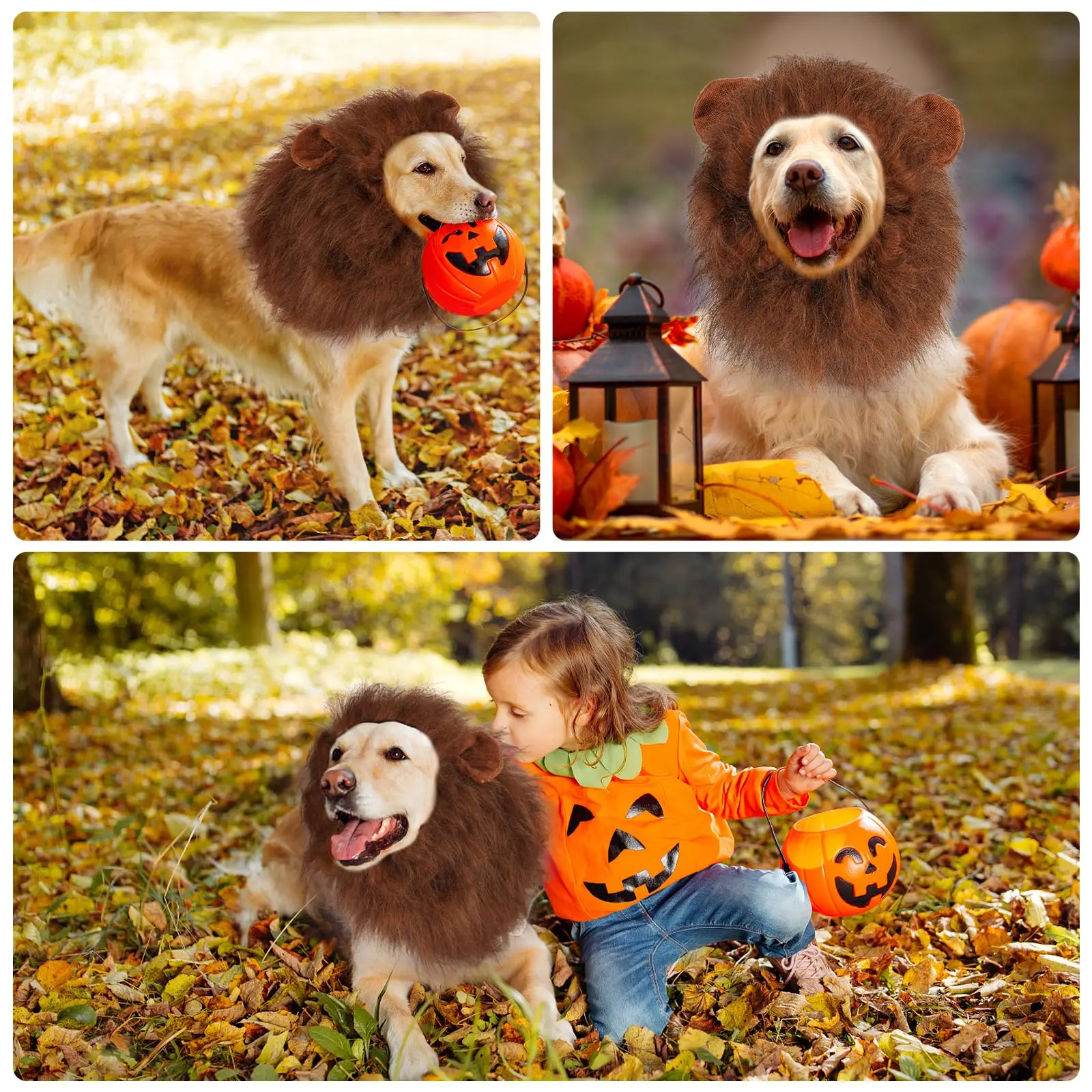 Lion Mane Dog Costume Lion Wig Halloween Costume with Ears and Tail Suitable for Medium to Large Dog Neck Circumference up to 80